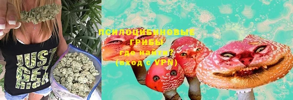 каннабис Богданович